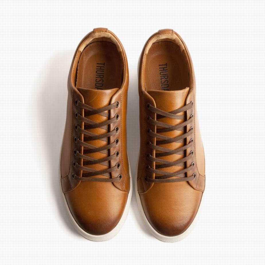 Toffee Thursday Boots Premier Men Low-Top Sneakers | JUX9351VB