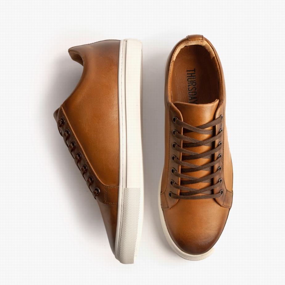 Toffee Thursday Boots Premier Men Low-Top Sneakers | JUX9351VB