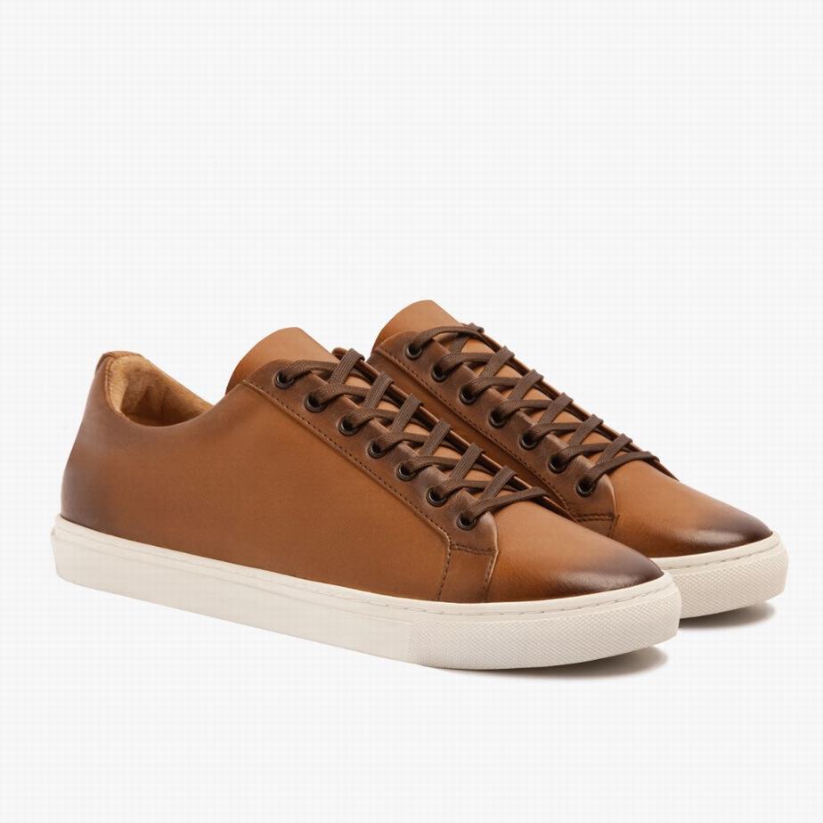 Toffee Thursday Boots Premier Women Low-Top Sneakers | HTA1876HV