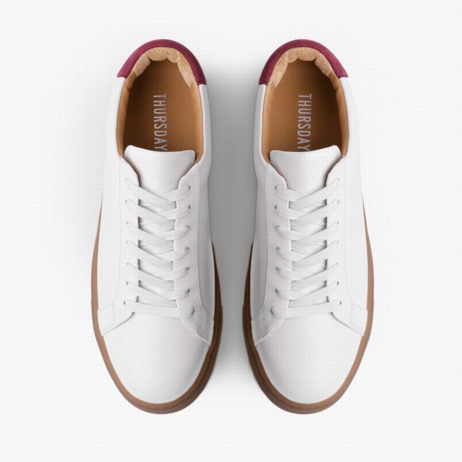 White Burgundy Thursday Boots Legacy Women Low-Top Sneakers | WPD1014QQ